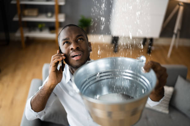 Best Basement water damage restoration  in Pioneer Village, KY