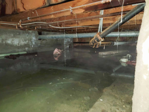 Trusted Pioneer Village, KY Water damage restoration Experts