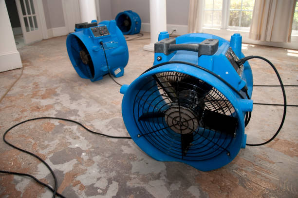 Best 24/7 water damage repair  in Pioneer Village, KY