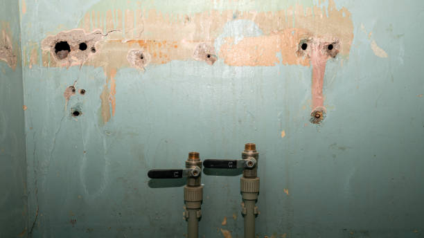 Best Water damage restoration cost  in Pioneer Village, KY