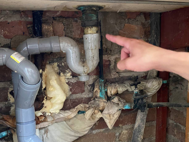 Best Professional water damage repair  in Pioneer Village, KY