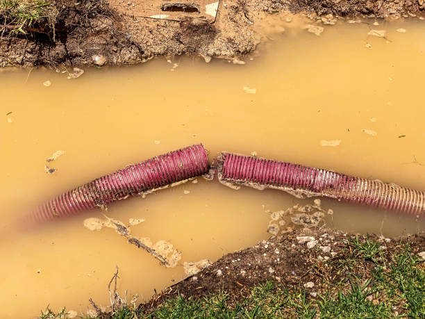 Best Emergency water damage restoration  in Pioneer Village, KY
