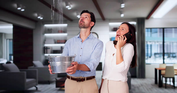 Best Local water damage restoration  in Pioneer Village, KY